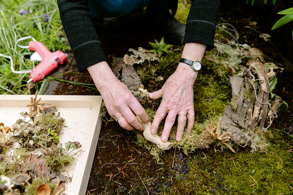 Wonder of the Woodlands Wreath Making