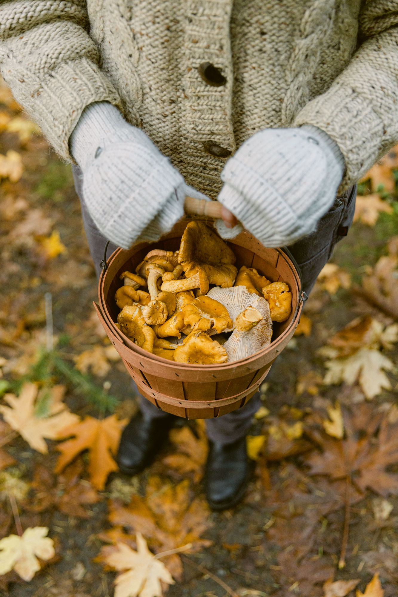 Wonder of the Woodlands, mushroom hunting detail