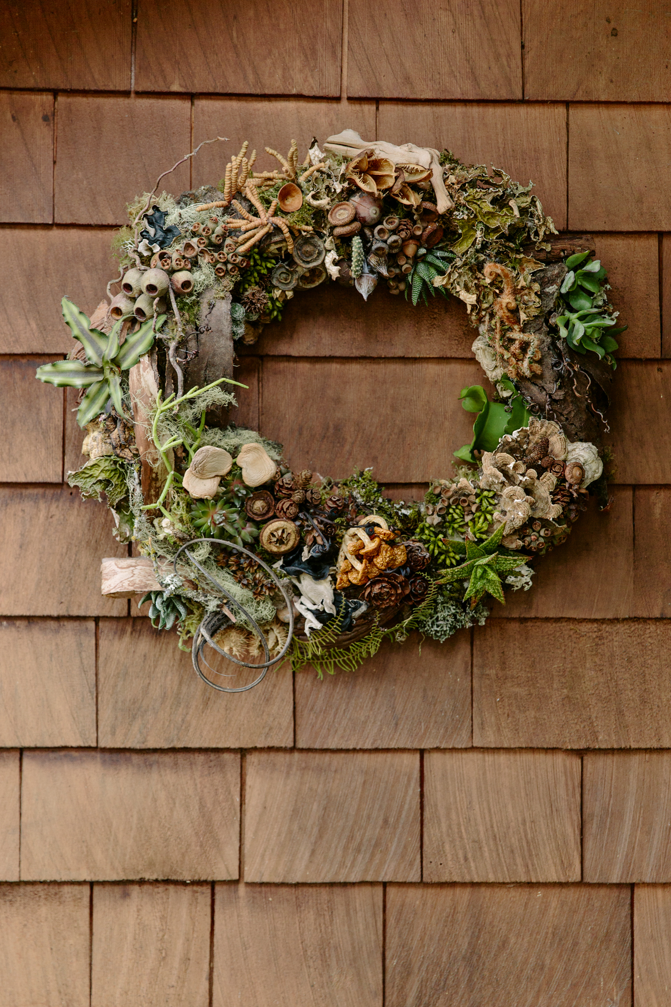 Miracle of the forest wreath