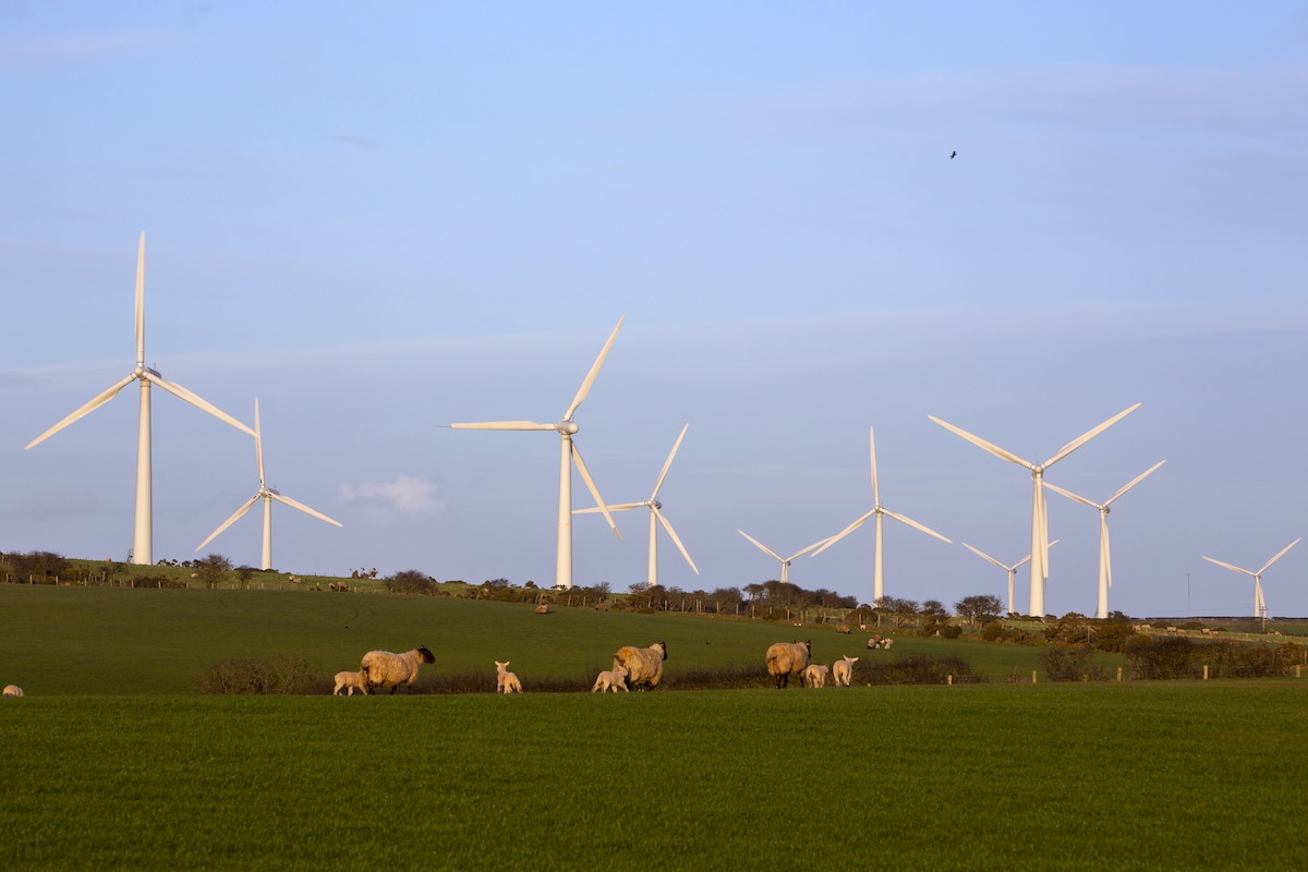 UK government announces plan for 95% green energy by 2030