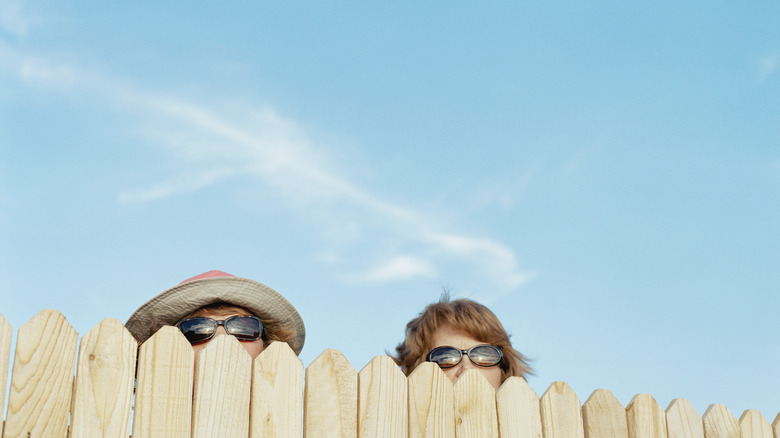 Neighbors peek over the fence