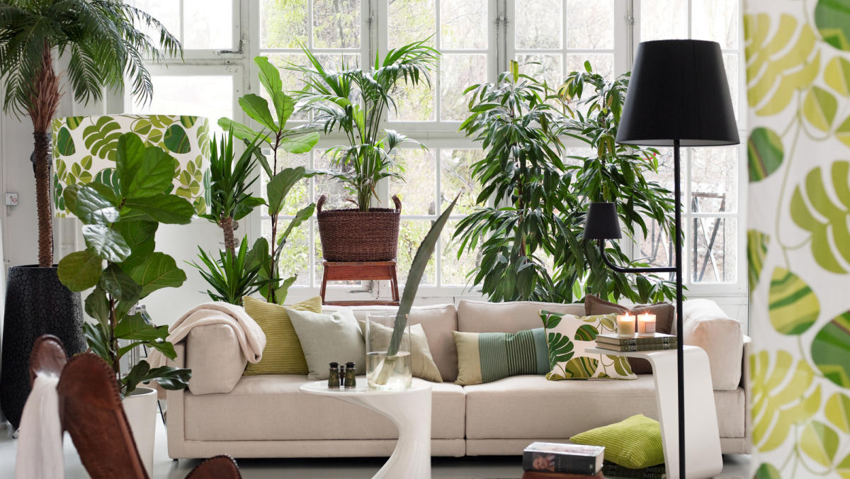 The nature-inspired decor trend that boldly continues into 2025