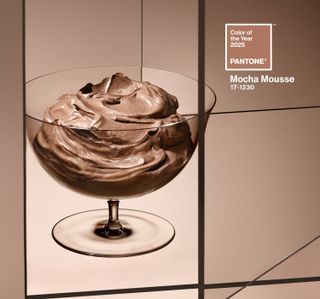 Pantone Color of the Year 2025: Mocha Mousse