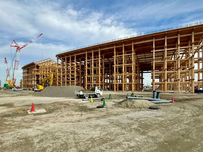 Huge structural wooden pavilions: large ring