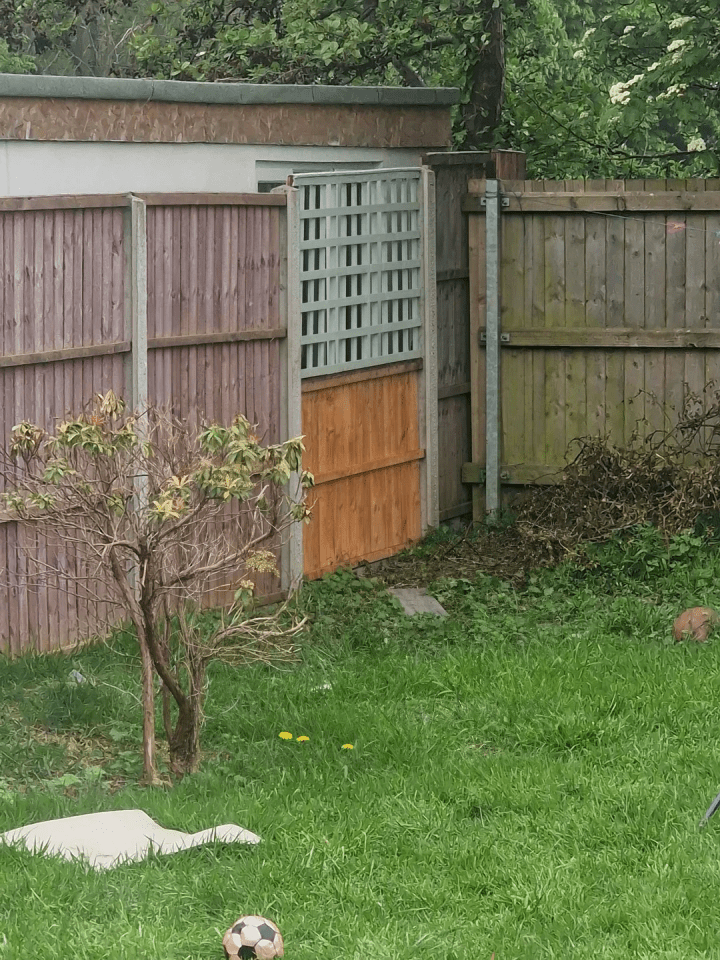 A Reddit user shared the strange update his neighbor made to the fence between his properties