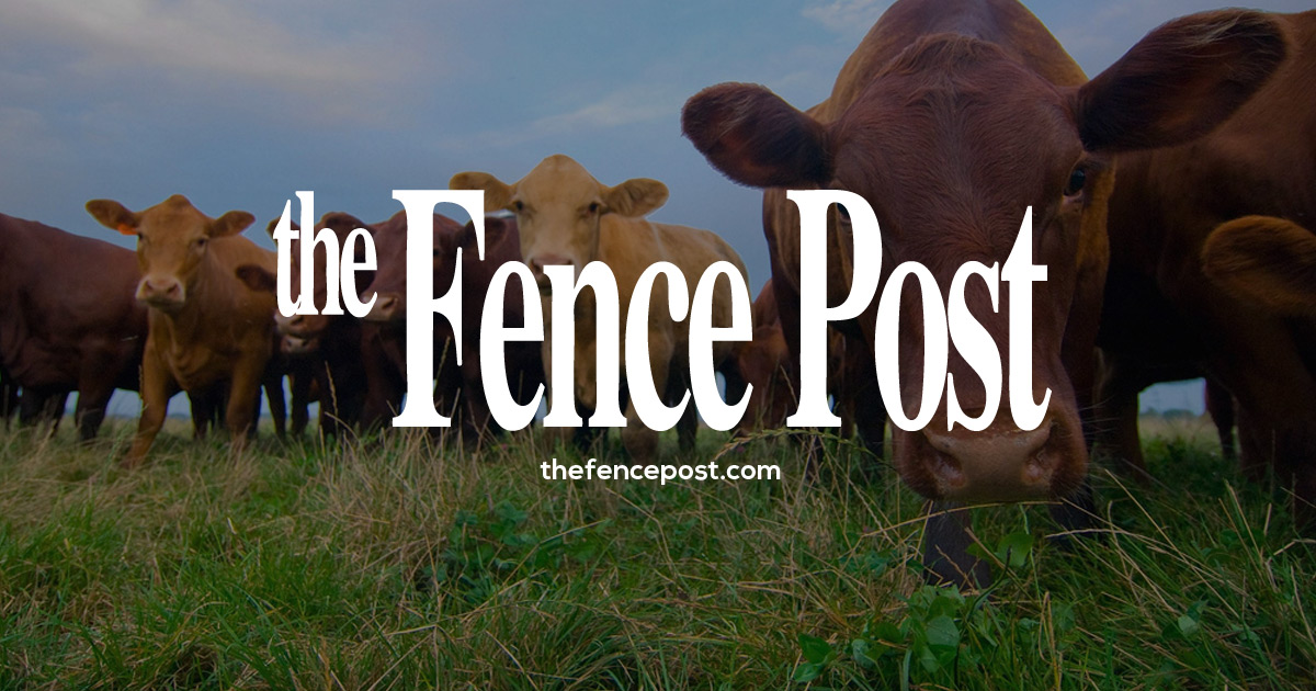 The Virtual Fence Conservation Fund accepts applicants for innovative conservation projects