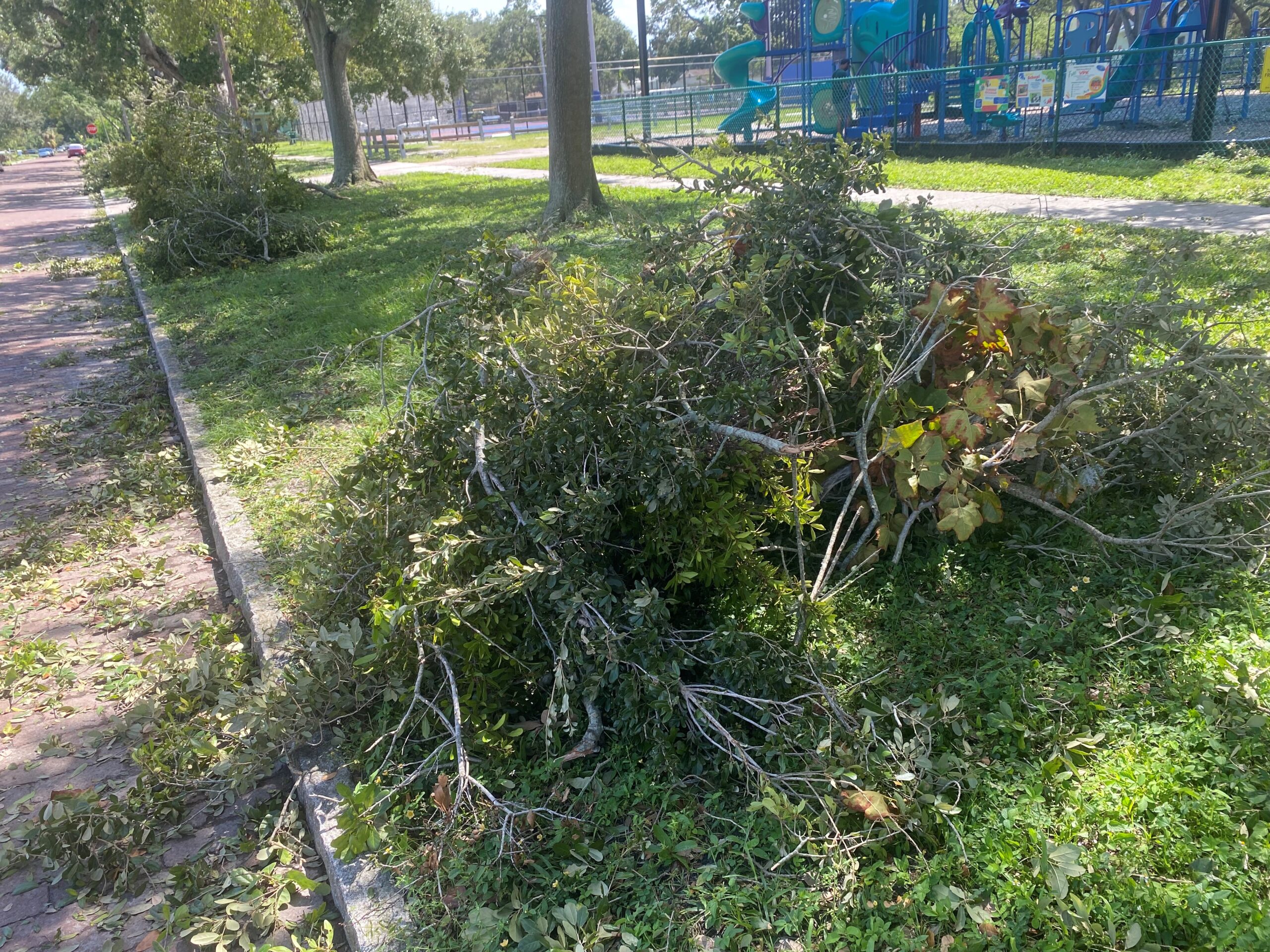 Debris from Hurricane Helene