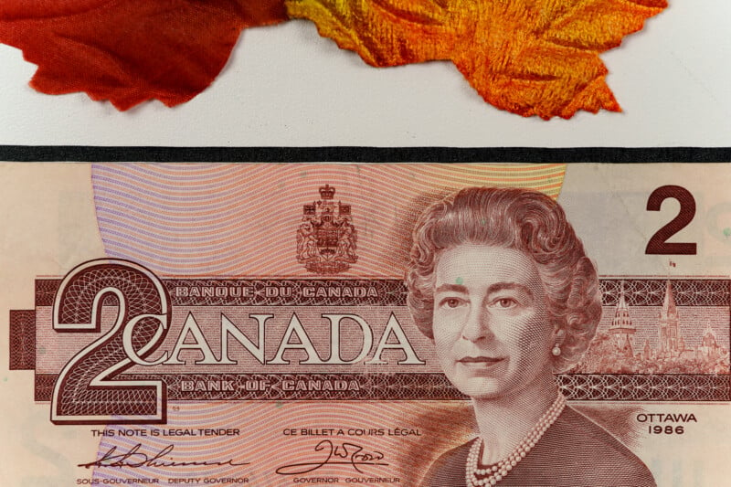 A close-up of a 1986 Canadian $2 bill with the image of a woman. The beak is decorated with elaborate patterns and part of an autumn leaf can be seen above the beak.