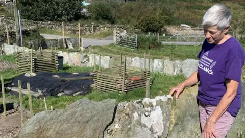 LDNPA farmer Celia Caulcott stands next to an interlocking fence made of broken glass on farmland. The fence is roughly shaped and overgrown with lichens. Celia has short, great hair and wears a purple t-shirt with pink pants.