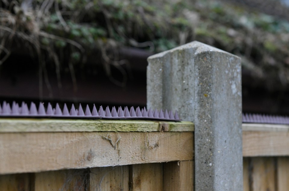 Plastic spikes are attached to the fence to control pests