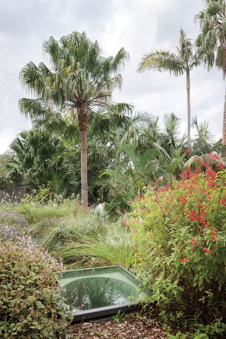 Fountain grass, bulbous rush and red-flowering pineapple sage are just some of the plants in the beautifully wild and easy-care roof garden.