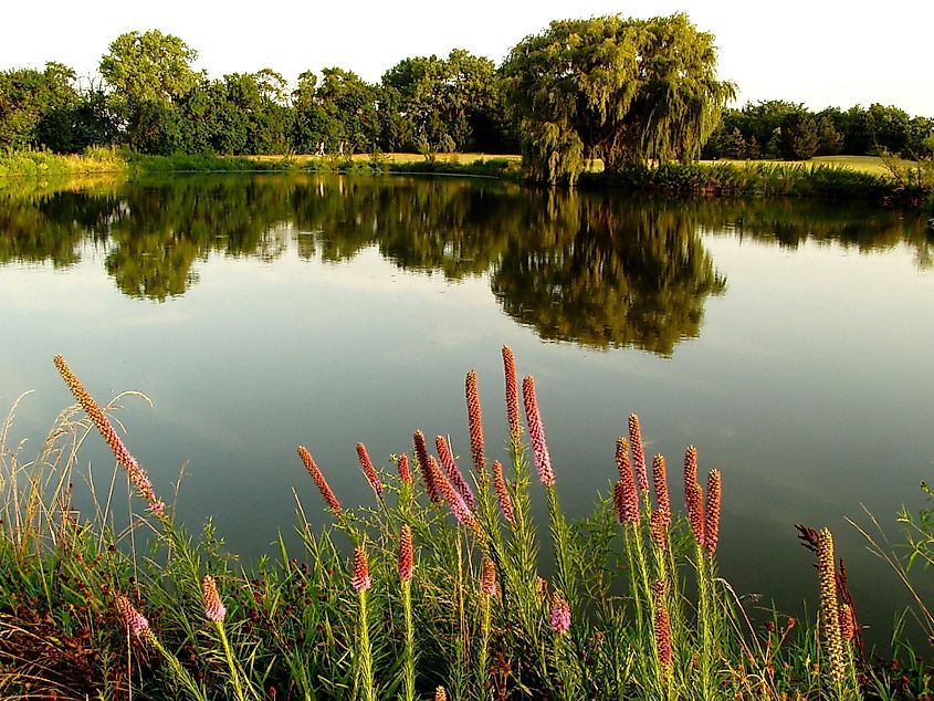 Dyck arboretum of the levels in Hesston, Kansas.