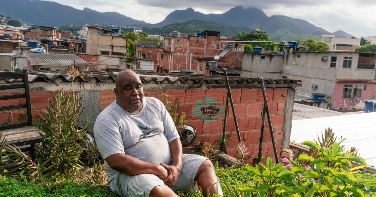 Cooling green roofs seemed like an impossible dream for Brazil's favelas. Not true!