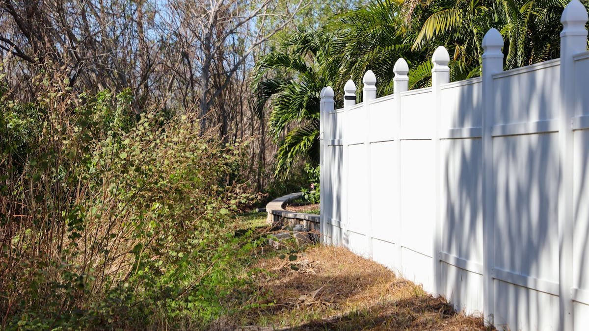 Hedges and edges dominate conversations about Temple Terrace's new proposed fencing rules