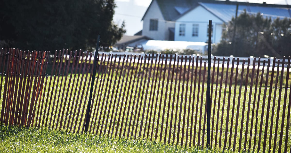 Stop chilliwacks snow, one fence each