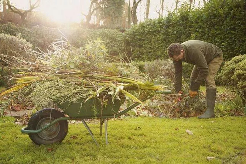 The £1 trick that could save gardeners hundreds this spring