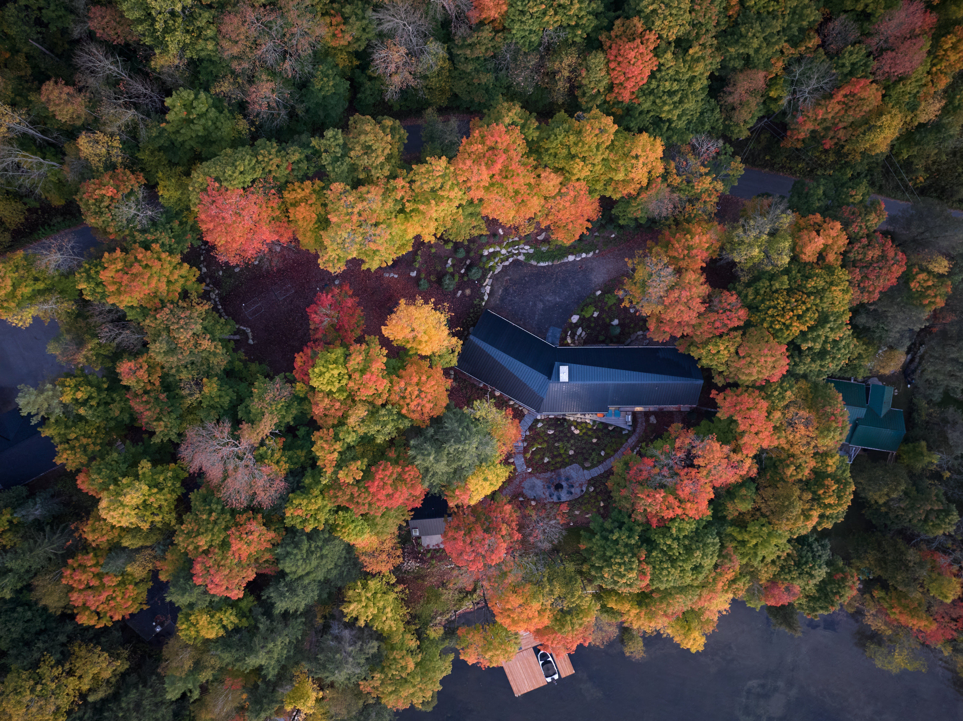 The house is surrounded by maple trees