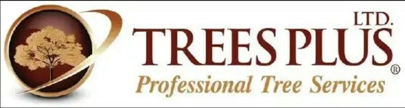 Trees Plus LTD introduces premium tree services in Duluth for safer, more beautiful landscapes