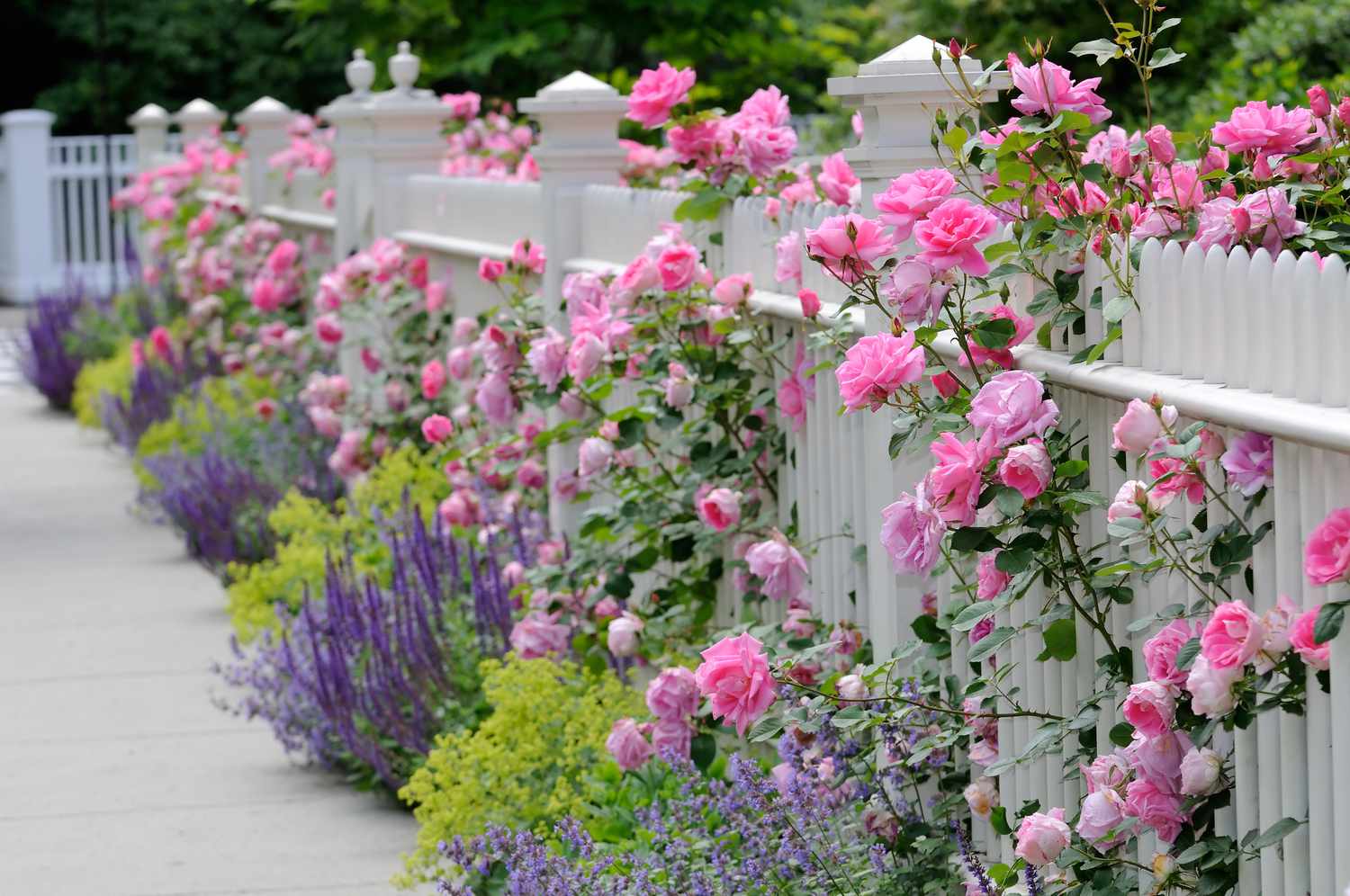 15 garden fence ideas to beautifully define your garden