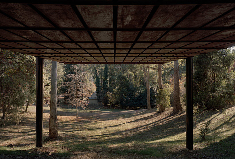 Robbie Walker sawmill tree house