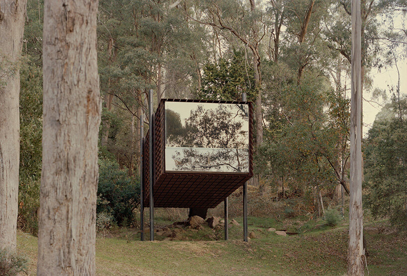 Robbie Walker sawmill tree house