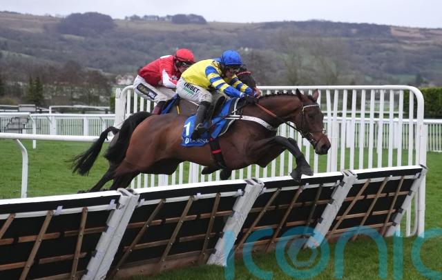 Jonbon is ready to adhere to Champion Chase claims