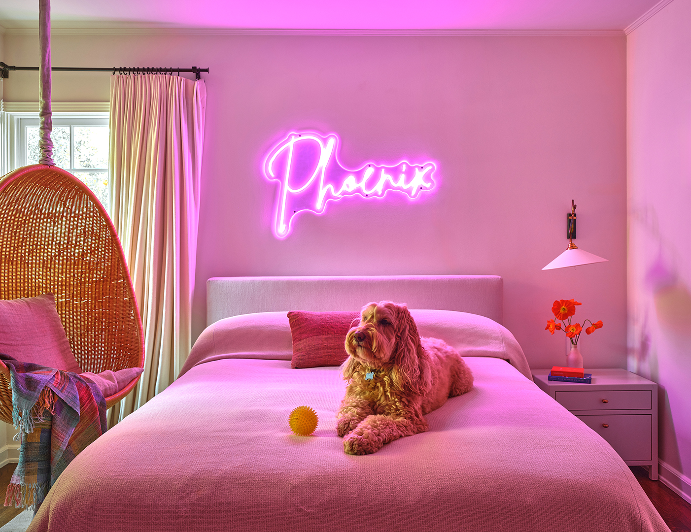 Children's bedroom with a dog in bed