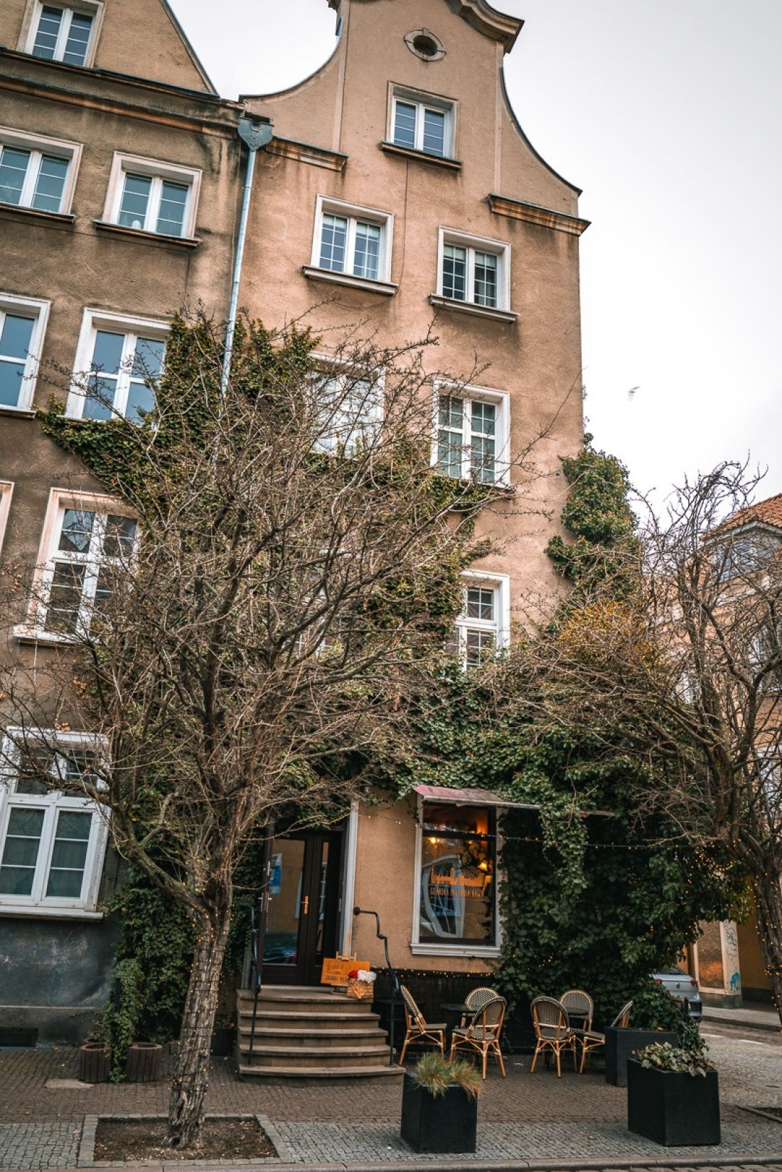 The building is covered with ordinary ivy (Hedera Helix L) 