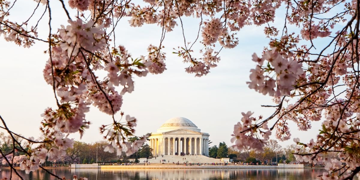 Are you planning a spring or summer family vacation? The Member of the Congress Aderholt invites families to visit Washington DC