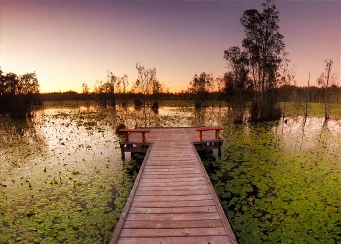 ECO certification award for Barrington Coast