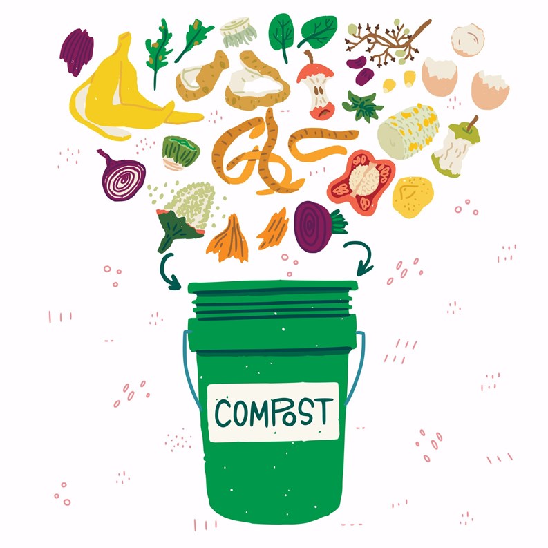 NYC Composting 101 - I am there, done