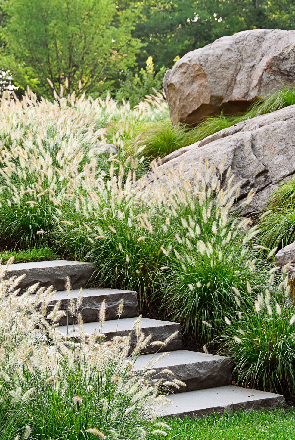 Stone steps in the garden