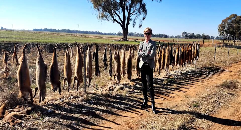 Helen Dalton stands in front of the fence full of foxes.