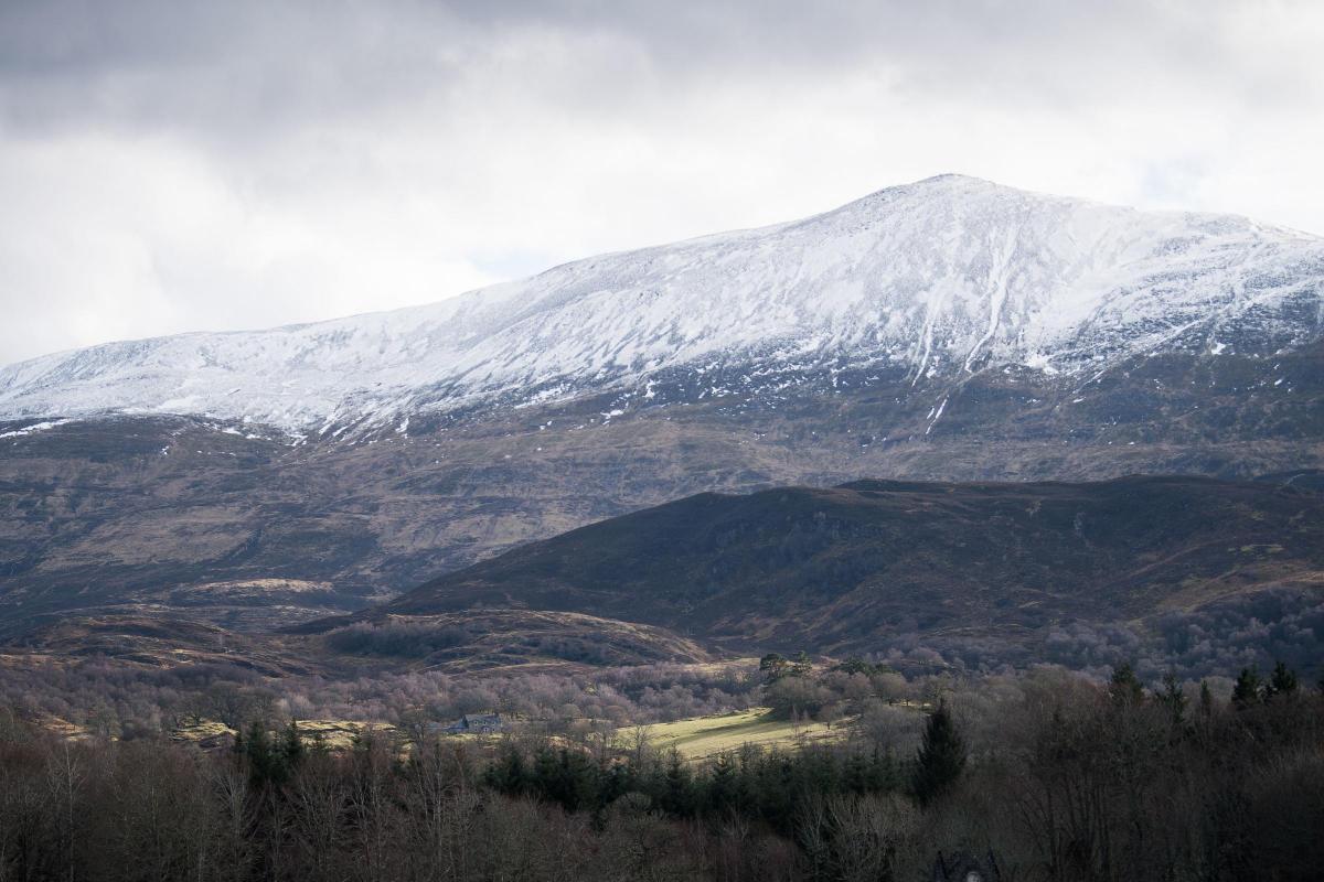 Fencing plans for popular Munro brands from activists "Insane"