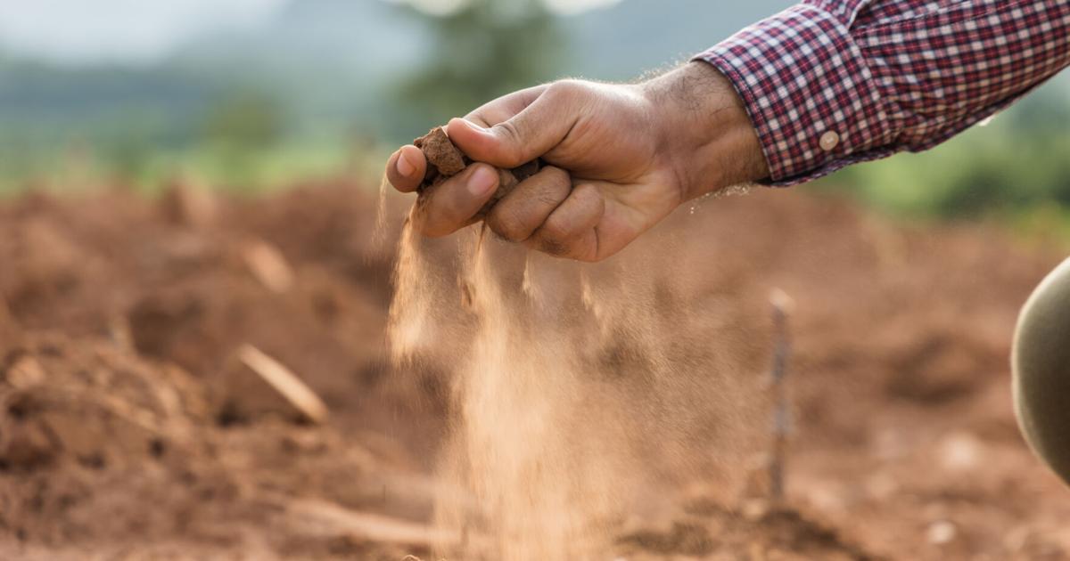 SD farmer bends drought fighter muscles in the face of dry conditions State news