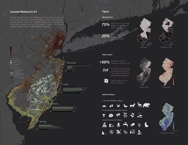 The female landscape designer promotes economic growth through biological diversity care