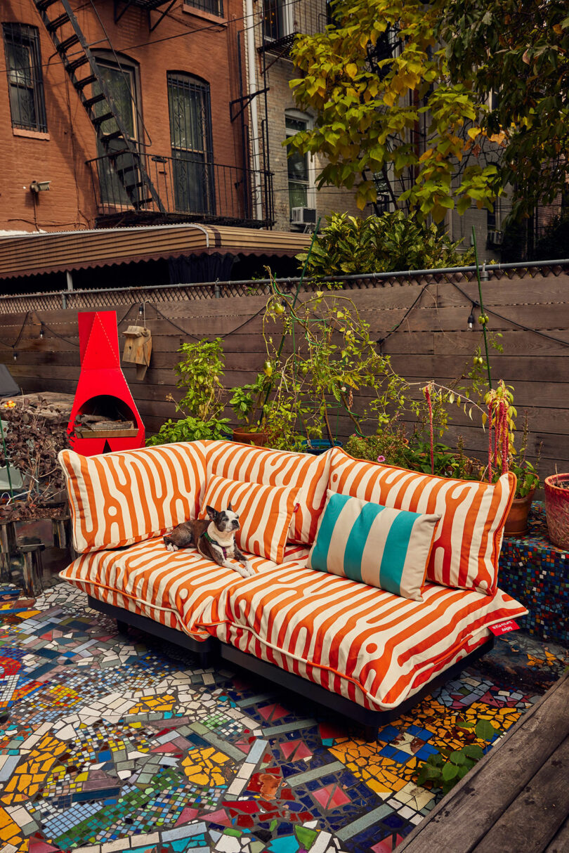 A cat lounger on an orange -white striped sofa with a green -white pillow that is placed on a colorful mosaic terrace. The background includes a brown fence, plants and a red fireplace