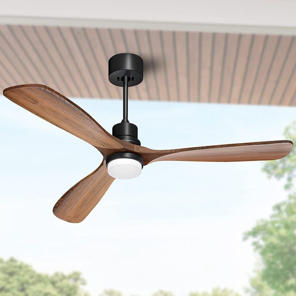 Ceiling fan with lights