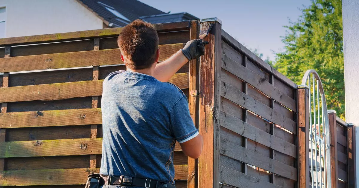 Gardeners warned of the rules of the British fence and how high they can be high by law