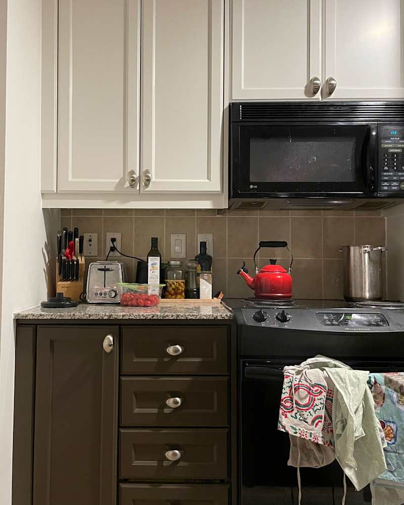 Two tinted cupboards in the kitchen before the renovation.