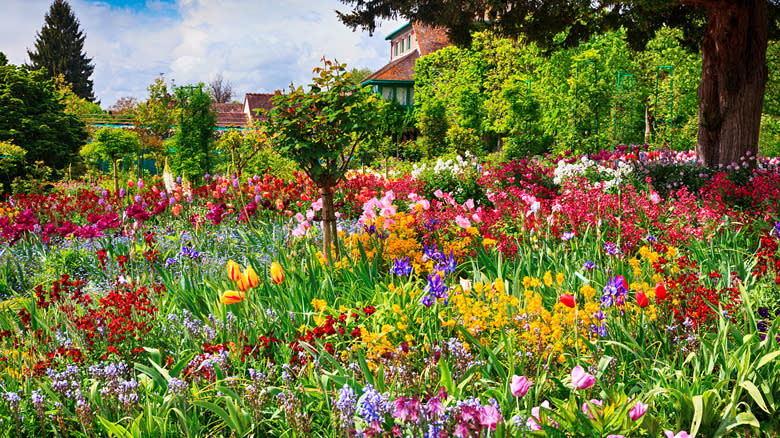 Monet's garden in France filled with lively flowers and a house in the background