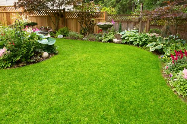 Walmart sells $ 5.84 fence boards to rejuvenate your garden and transform it into a decorative summer house