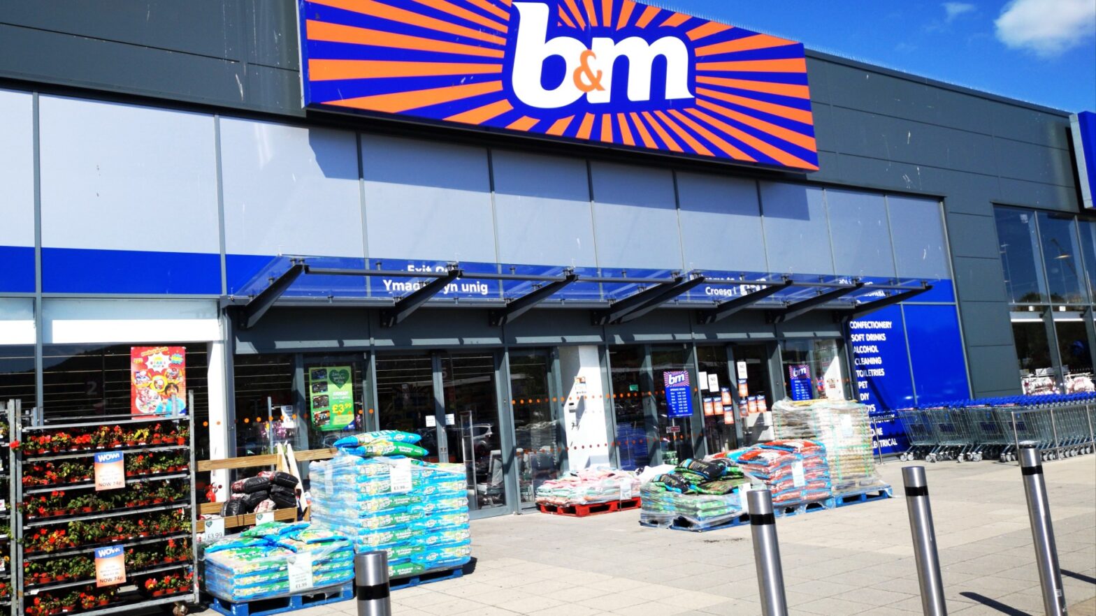 B&M sells a stylish £ 10 purchase that gives every garden fence privacy in centimeters in centimeters