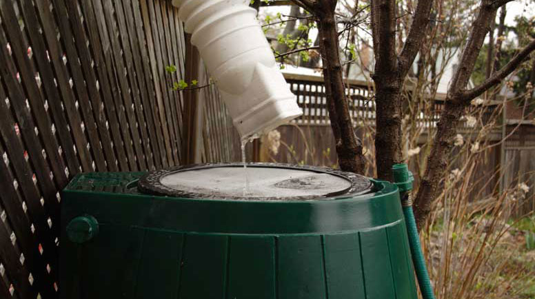 Rain -catching area