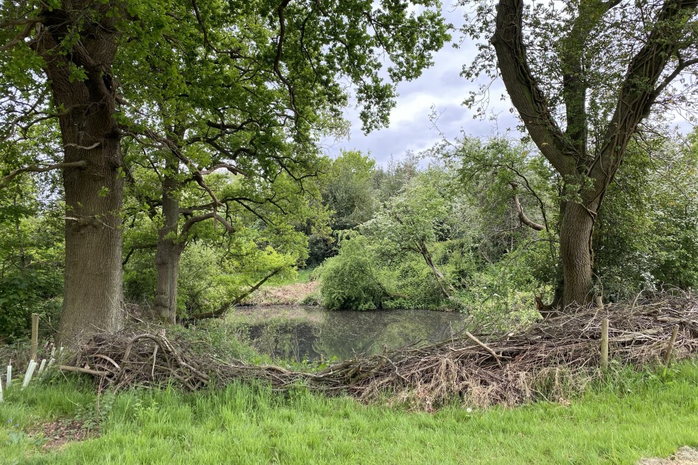 Natural flood management in Filongley