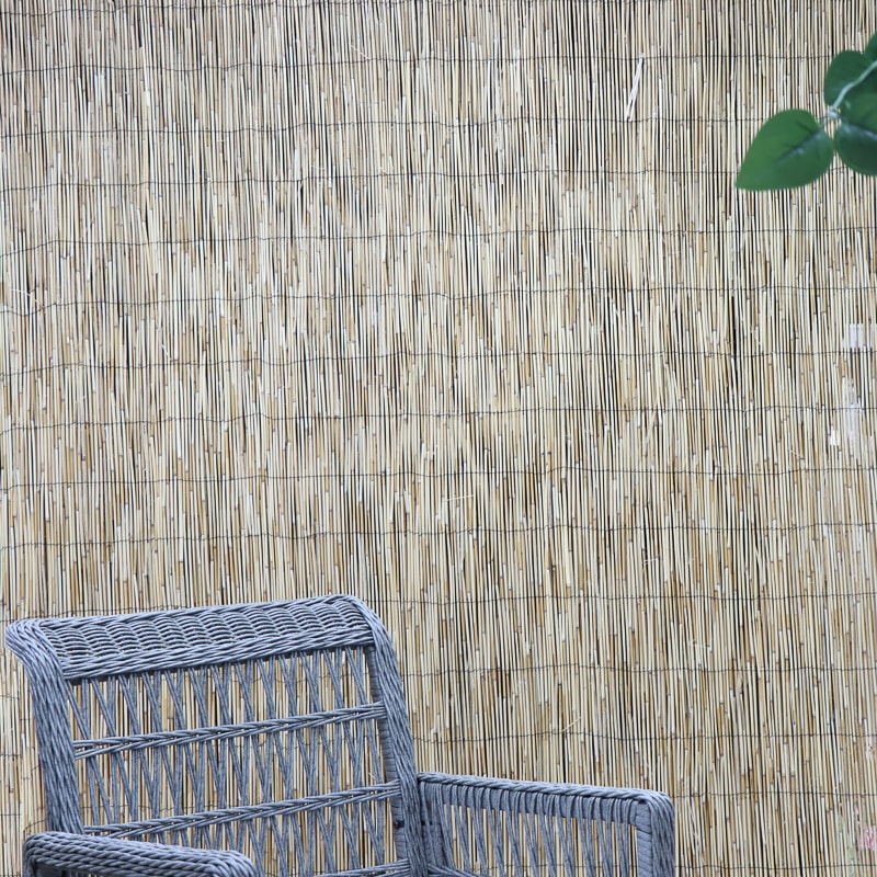 Weidenstuhl in front of a reed fence.