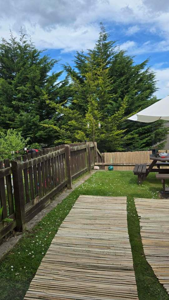 Bamboo fences added a garden fence for privacy.