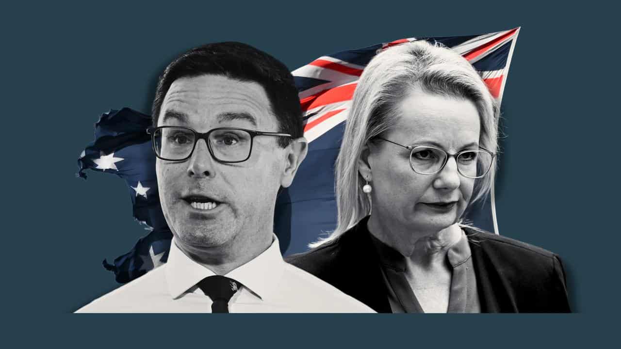David LittleProud and Sussan Ley (file pictures)
