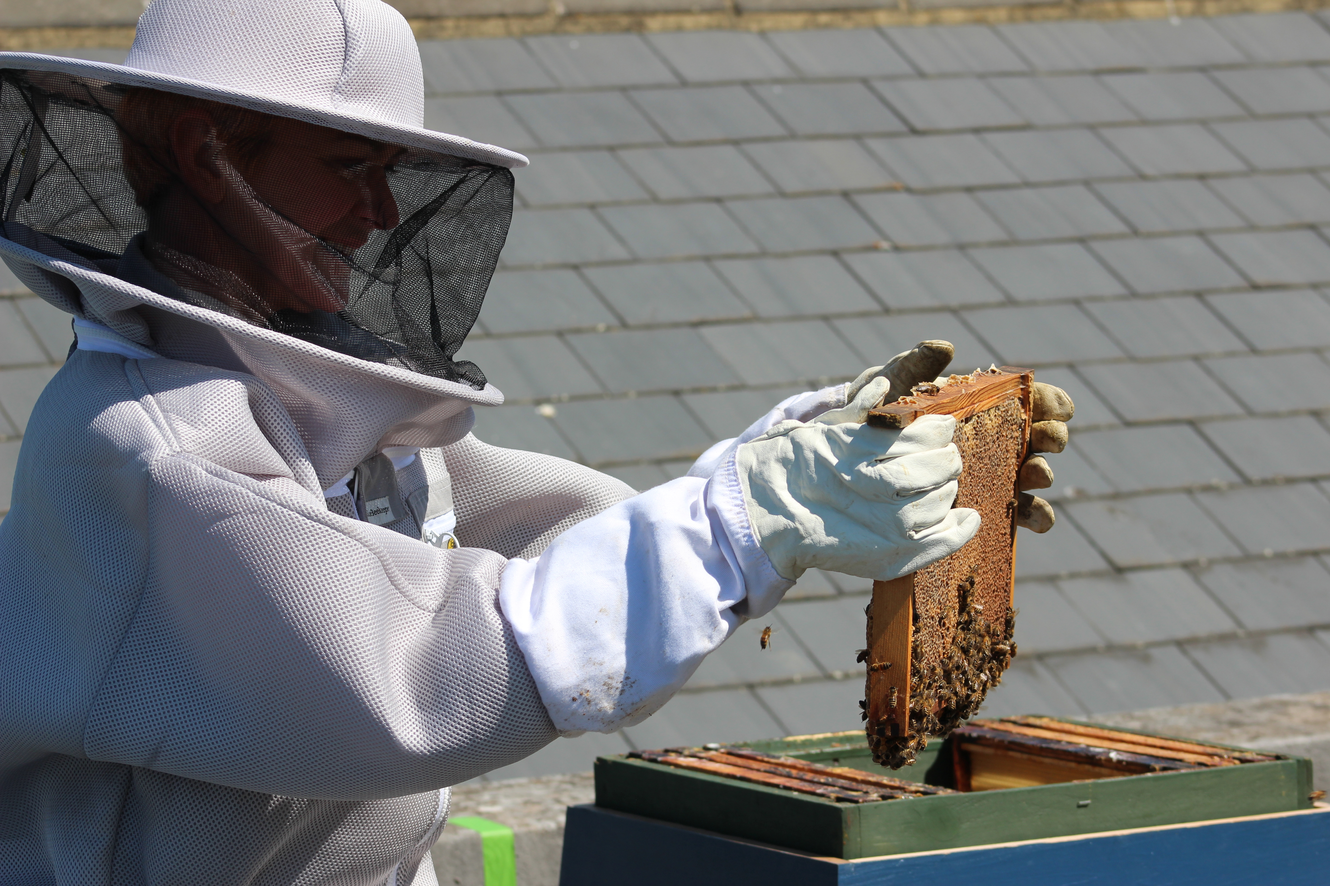 Cllr Moore with beehive