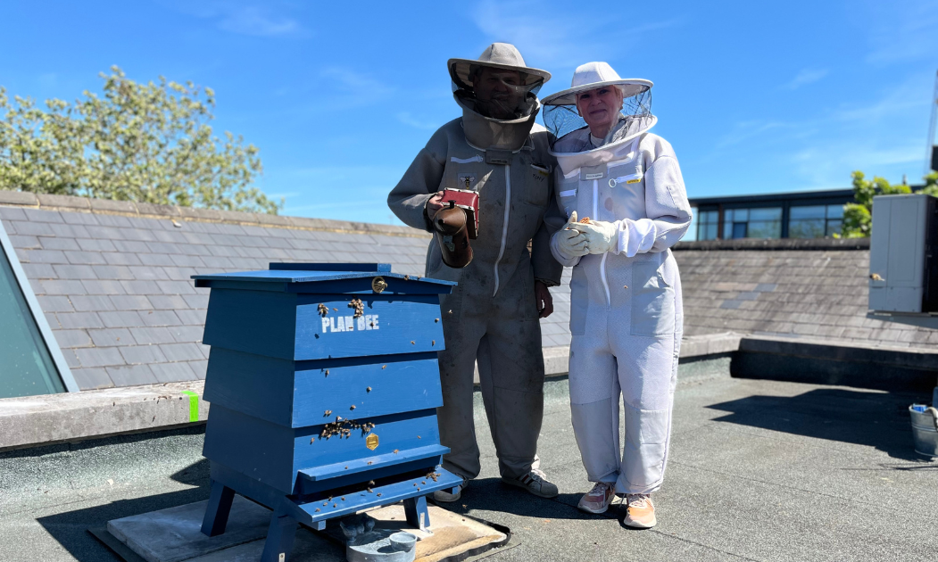 Bee level installed on the roof in the Chelmsford's Civic Center